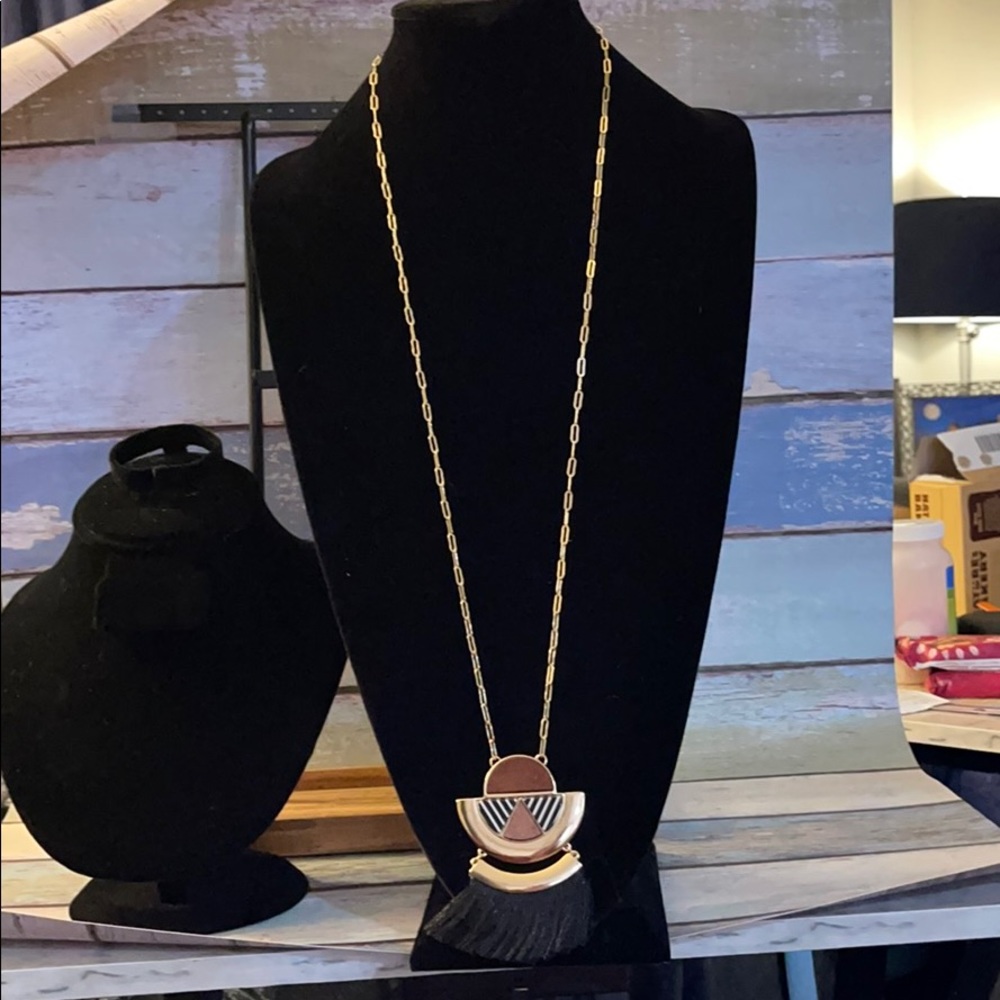 Anna and ava long necklace w/black tassel pendant